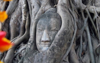 wat mahathat ayutthaya tailandia