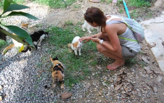 lanta animal welfare