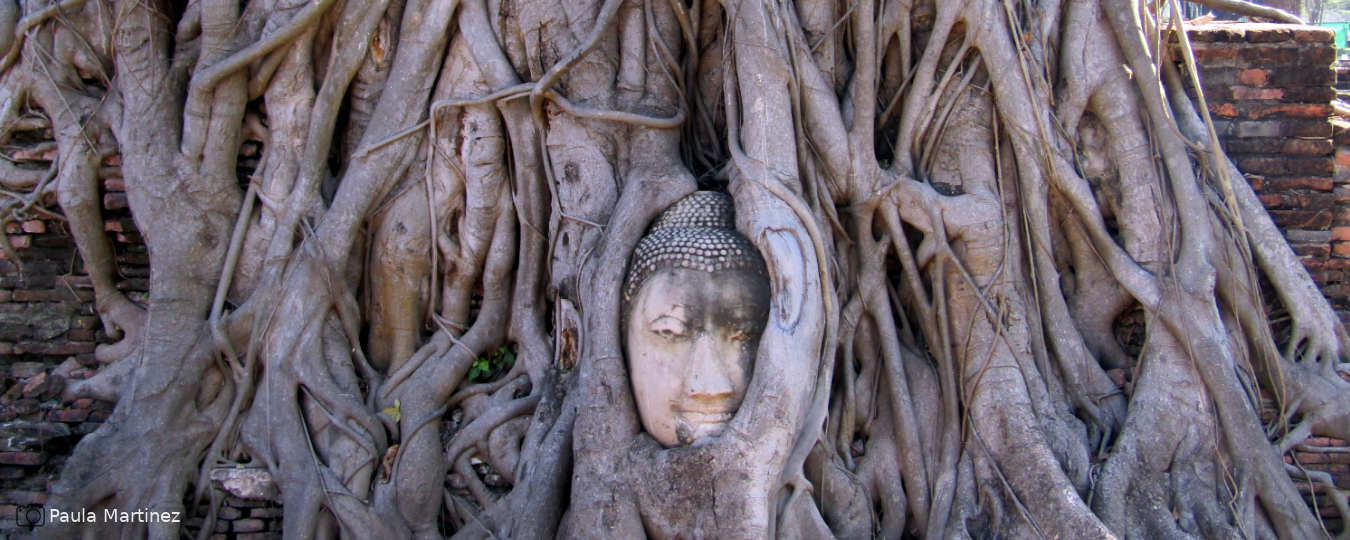 ayutthaya tailândia dicas de viagem