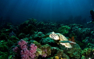 Mu Ko Lanta National Park