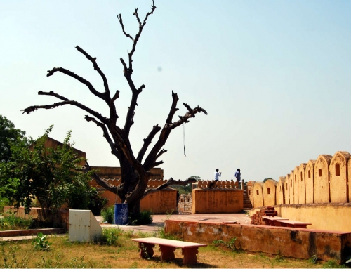 Nahargarh Fort