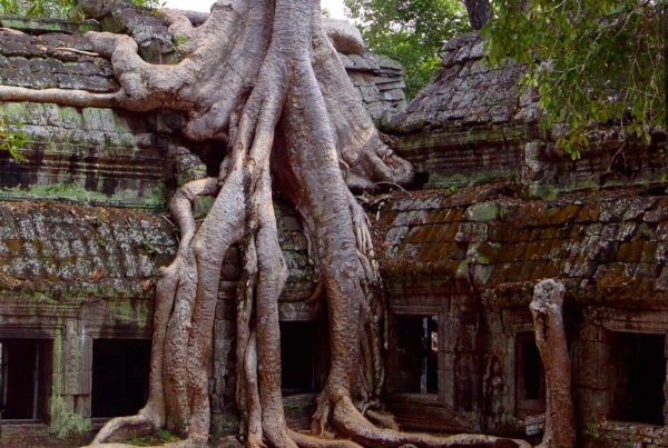 Angkor Wat Tha Phrom