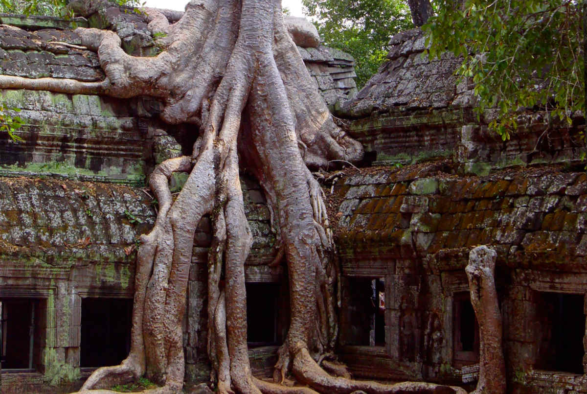 Angkor Wat Tha Phrom