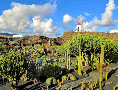 Jardín de Cactus em Lanzarote